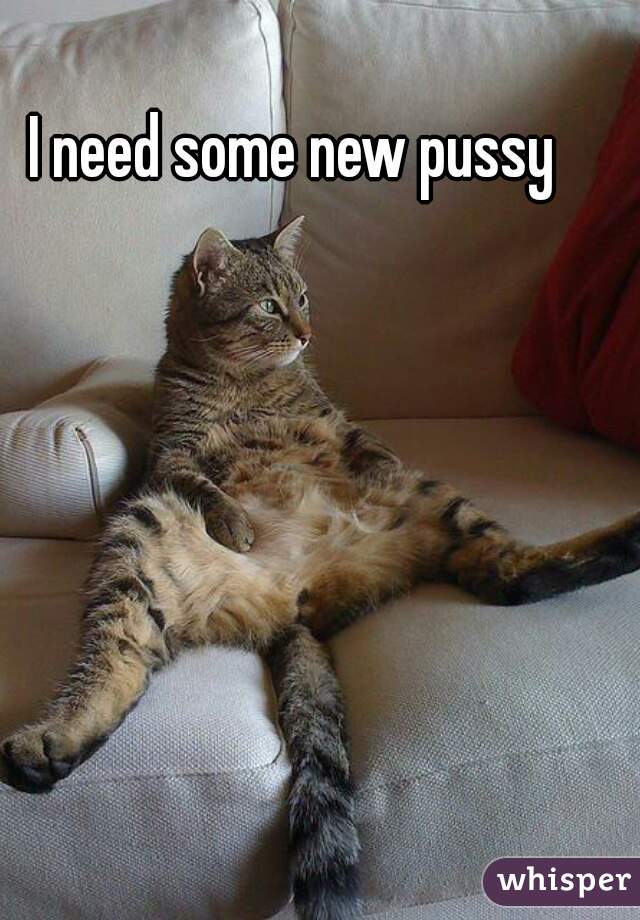 I need some pussy